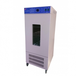 SHP-250 incubator for bacteria