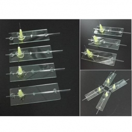 GC1 series capillary glass microfluidic chip