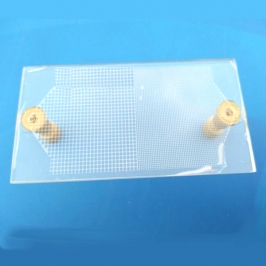 Cell screening chip