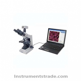 MIA-V type digital microscopic image analysis system for Molecular Cell Biology